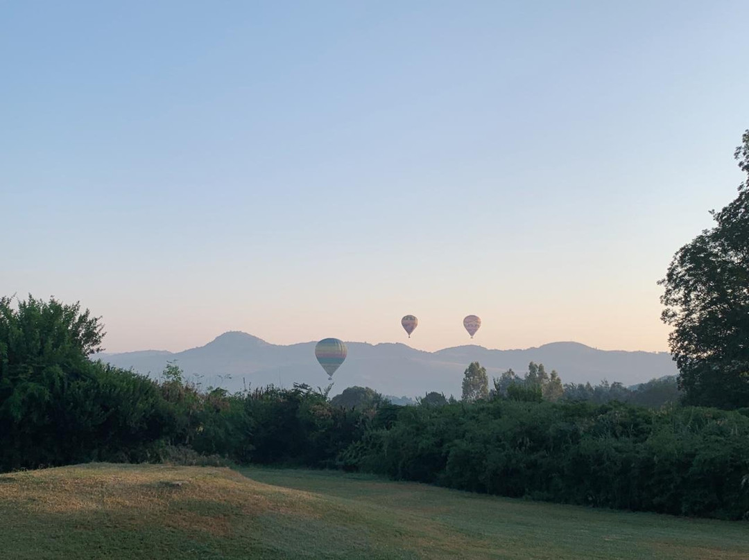 Muldersdrift旅游攻略图片