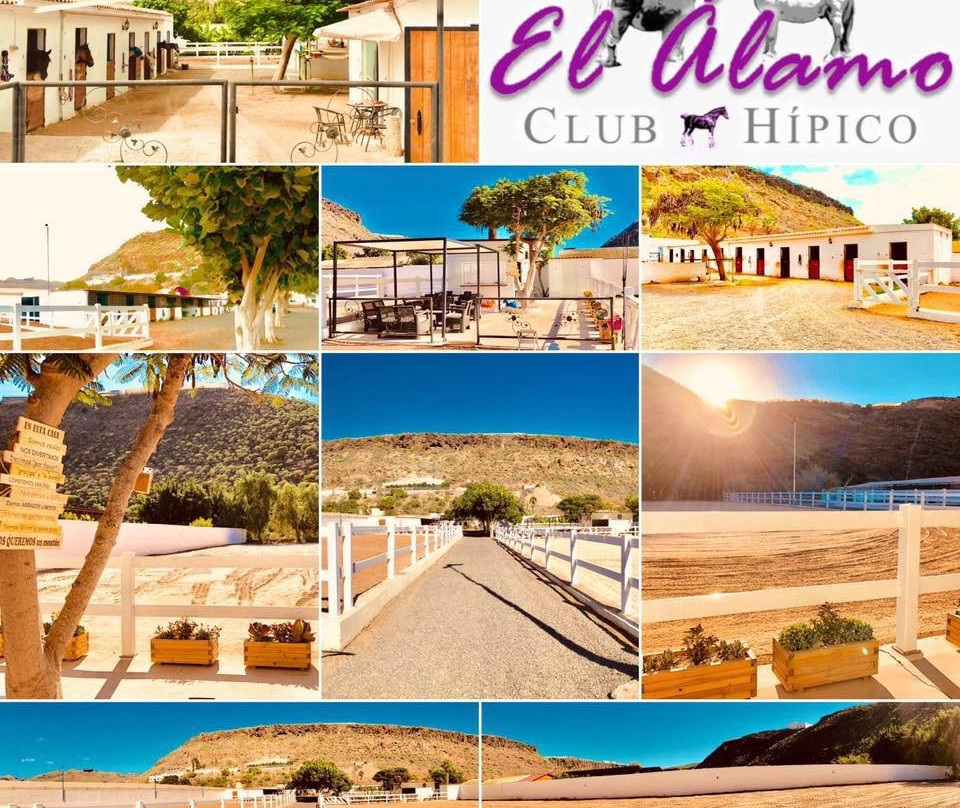 El Álamo - Club Hípico景点图片