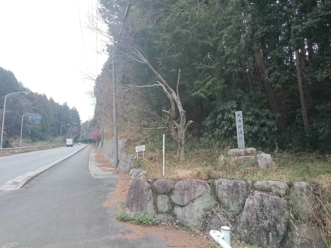 Oidajosekibairin Park景点图片