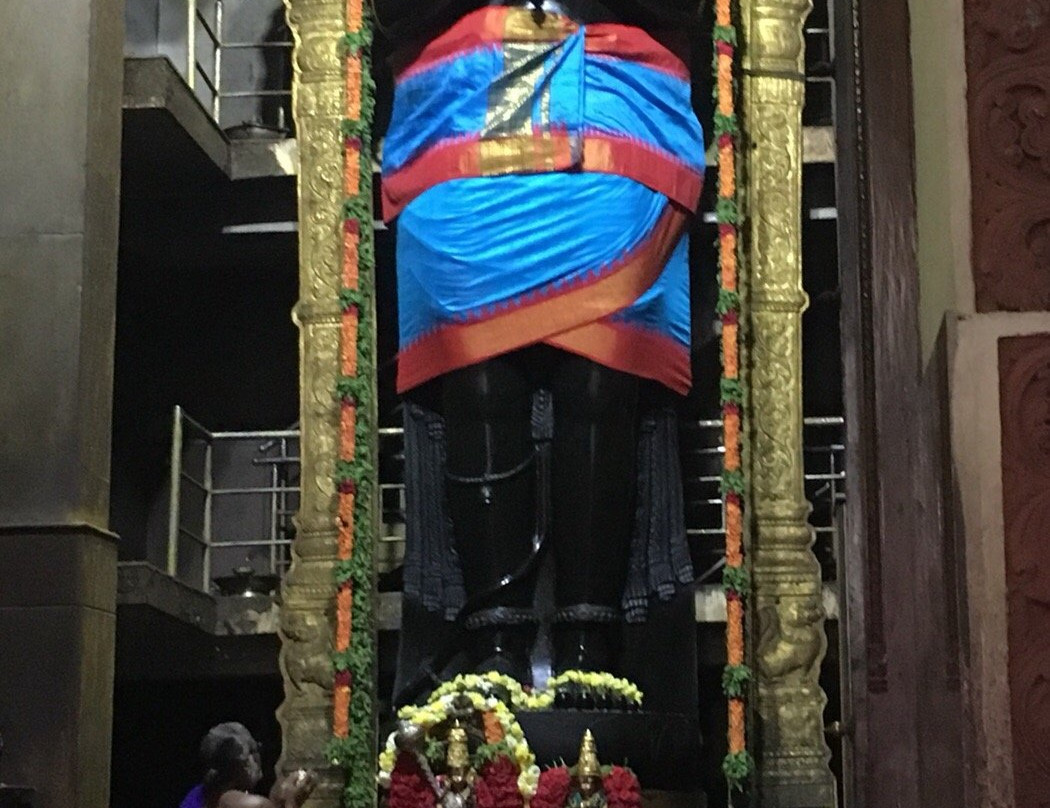 Viswaroopa Adhivyadhihara Sri Bhaktha Anjaneyaswami Temple景点图片