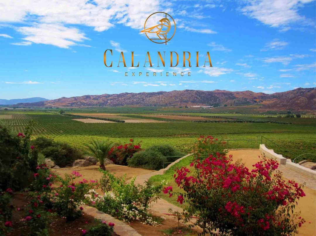 Calandria Experience-恩塞纳达必去景点