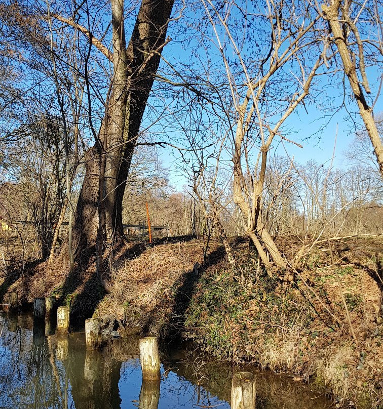 Hafen Waldschloesschen景点图片