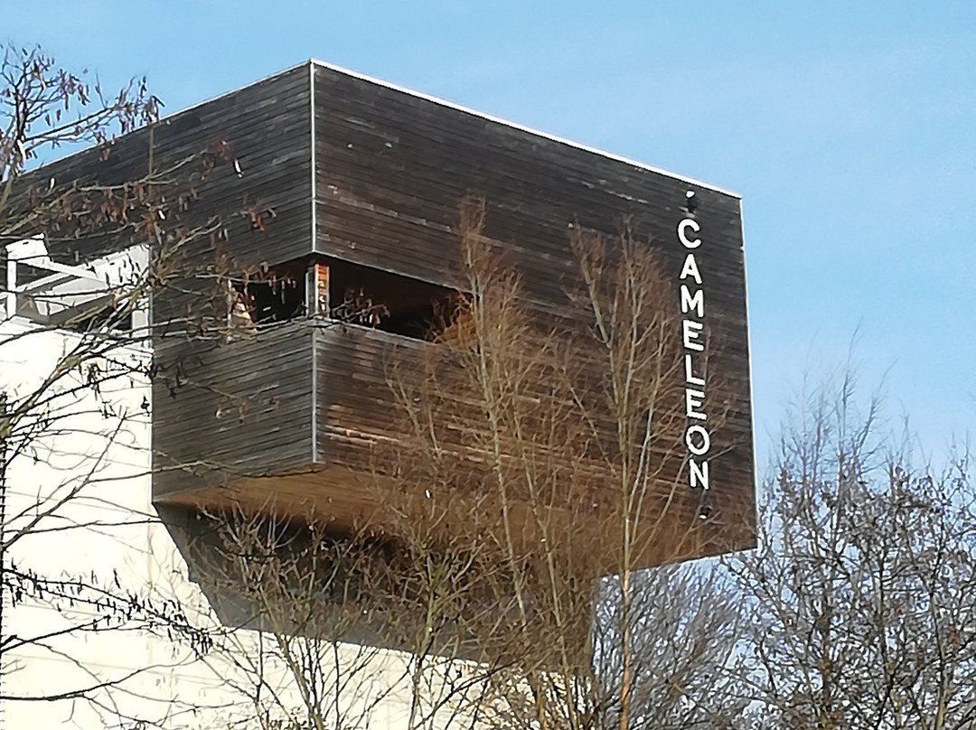 Cameleon Outlet-Woluwe-Saint-Lambert必去景点