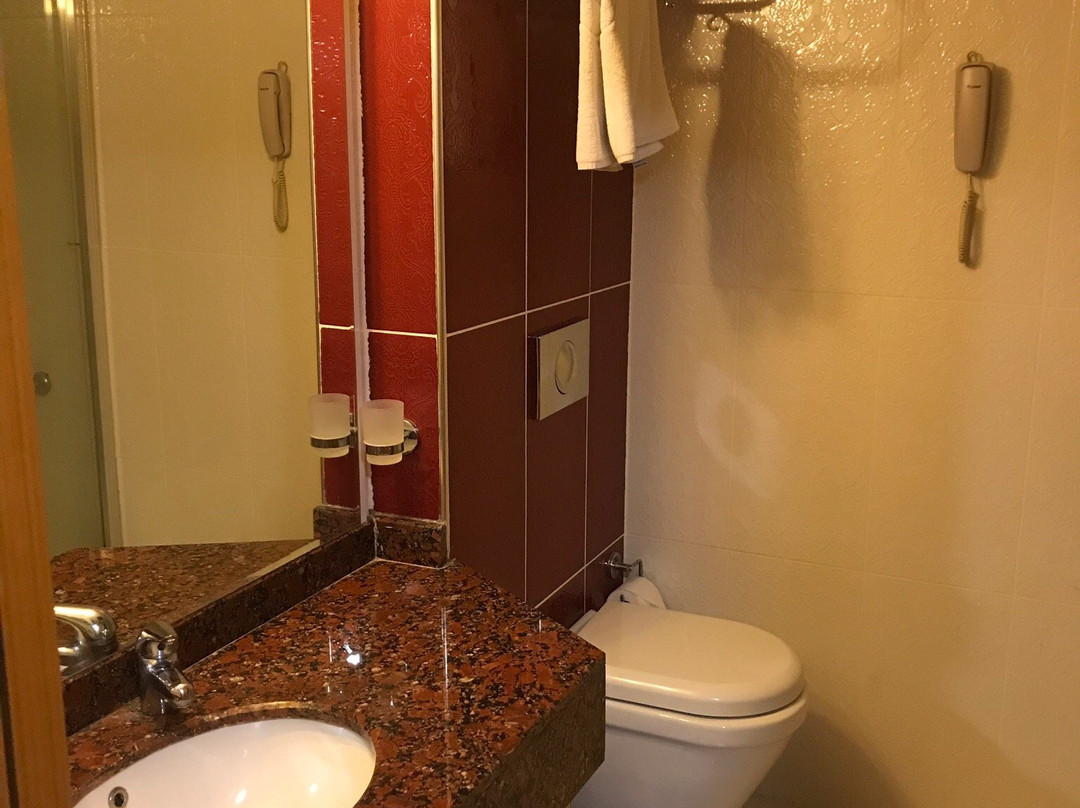 Çukurova Erten Hotel主图