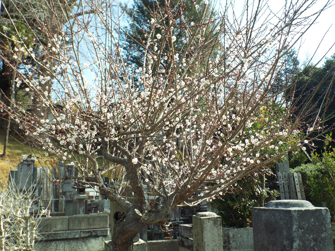 Jogen-ji Temple-二宫町必去景点