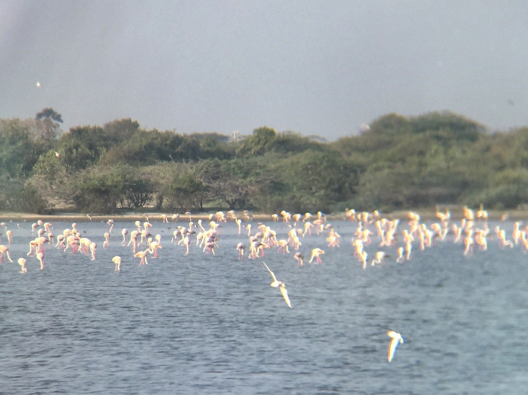 Four Tees Rest Inn主图