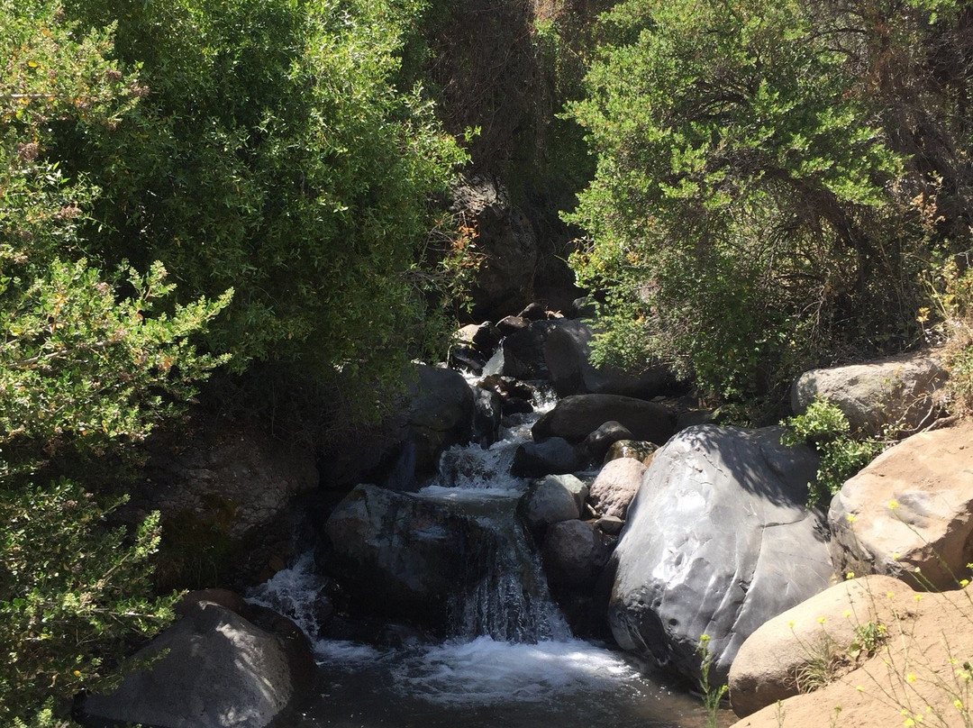 Parque Yerba Loca-圣地亚哥必去景点