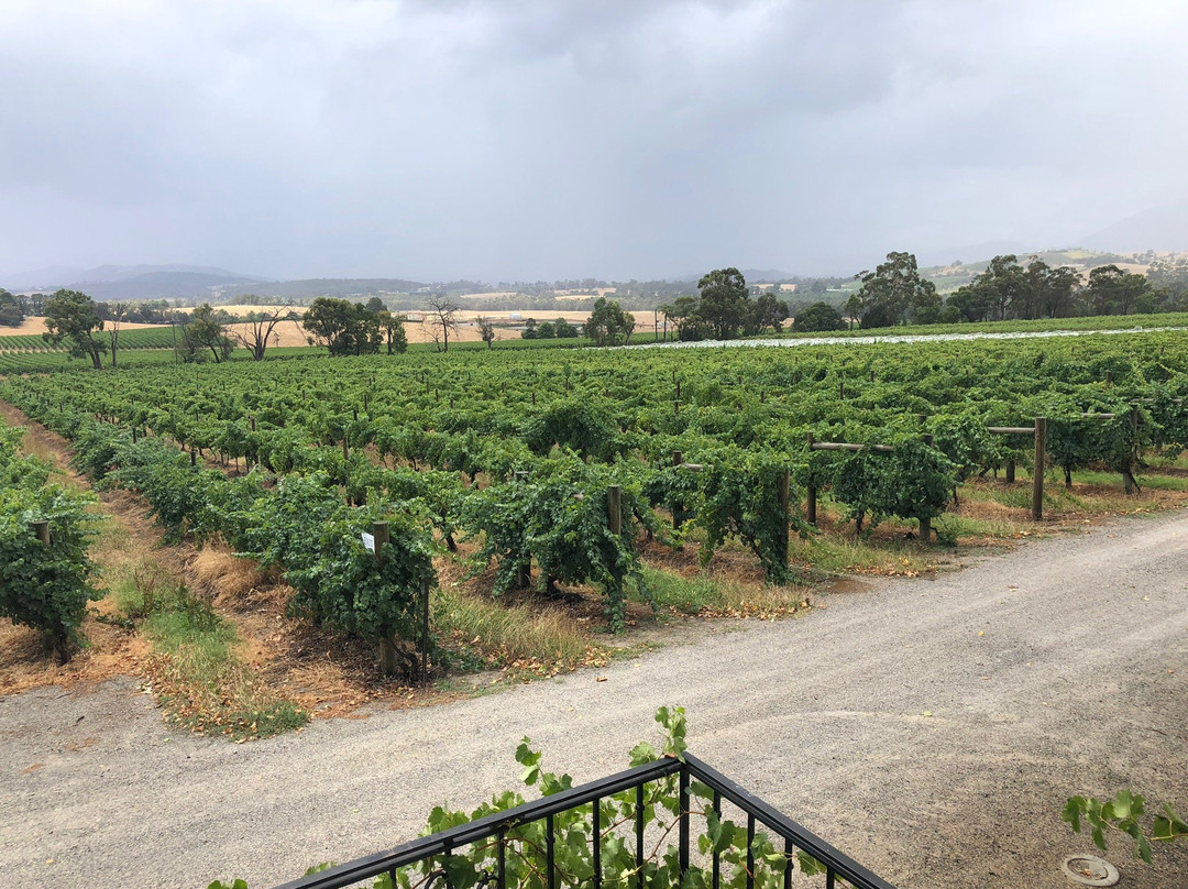 Yarra Yering-Gruyere必去景点