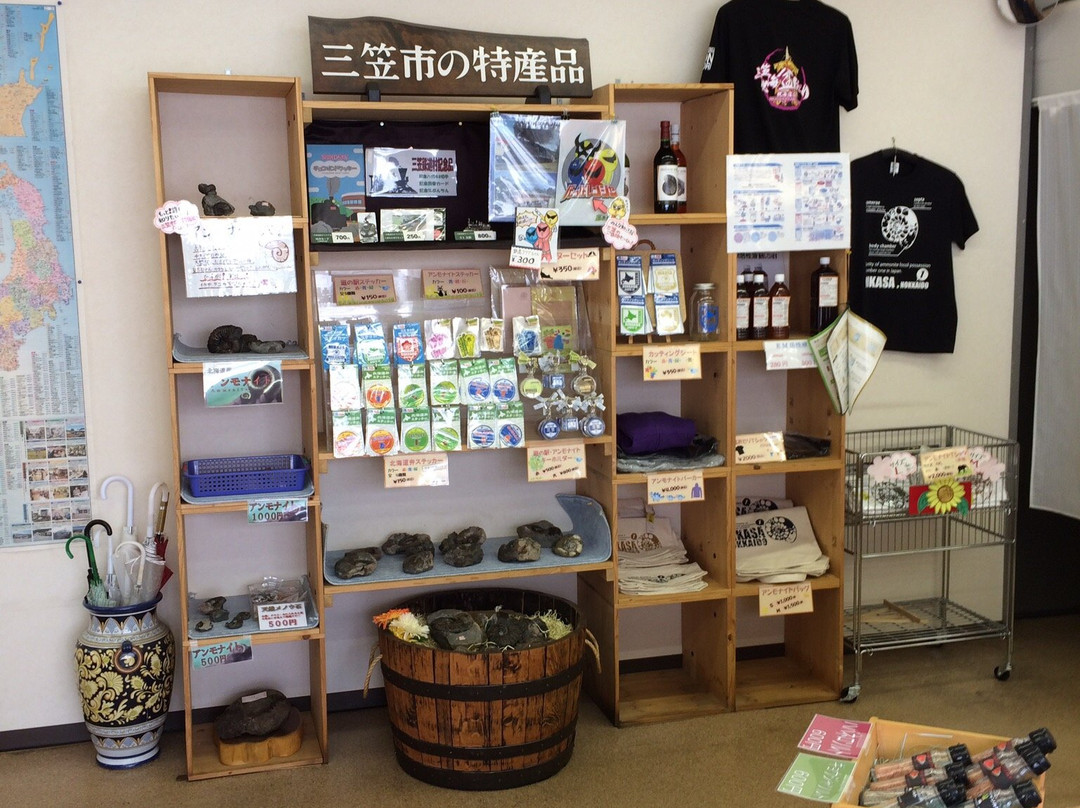 Michi-no-Eki Mikasa-三笠市必去景点