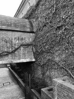 Kurashiki Ivy Square主图