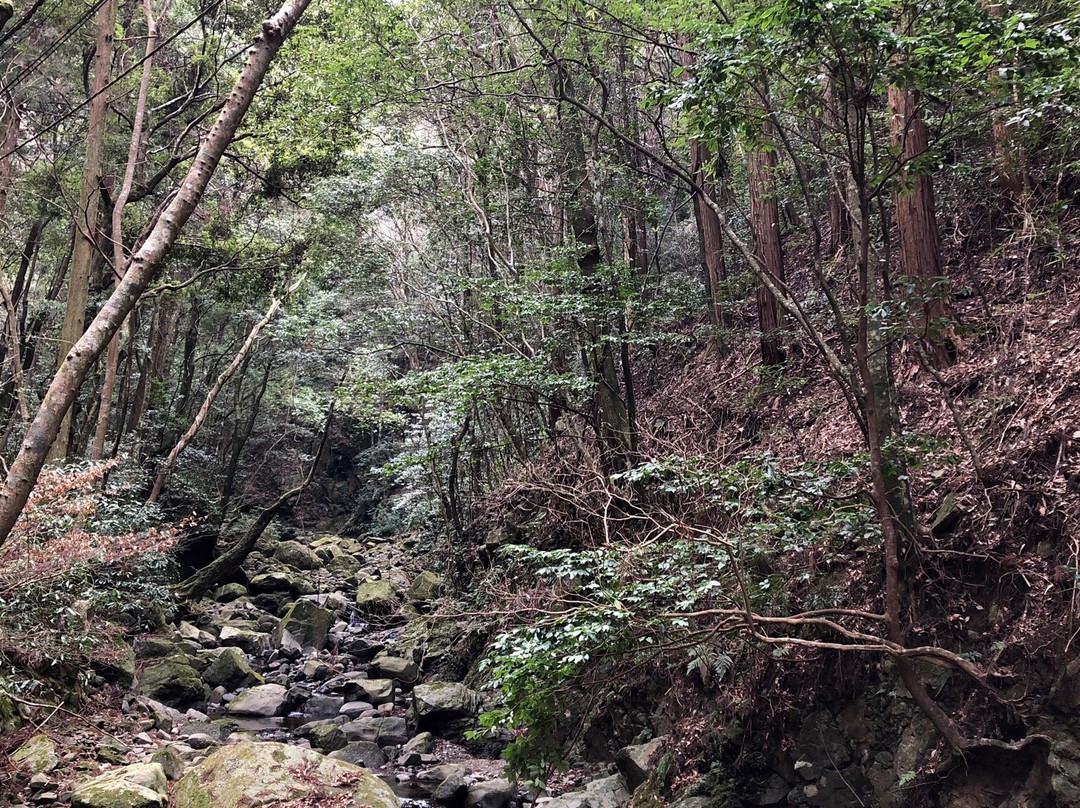 Mt. Inunaki-泉佐野市必去景点