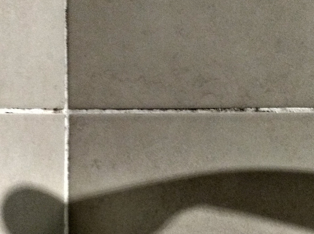 Côte Cannelle主图