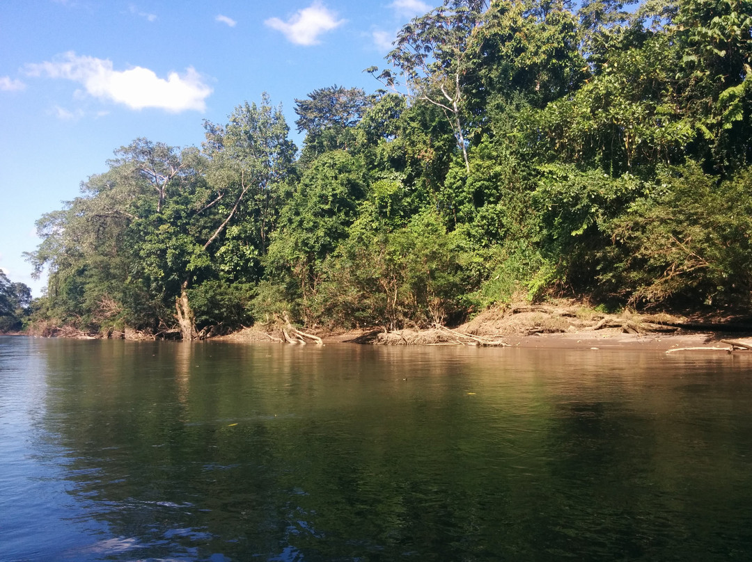 Sarapiqui River景点图片