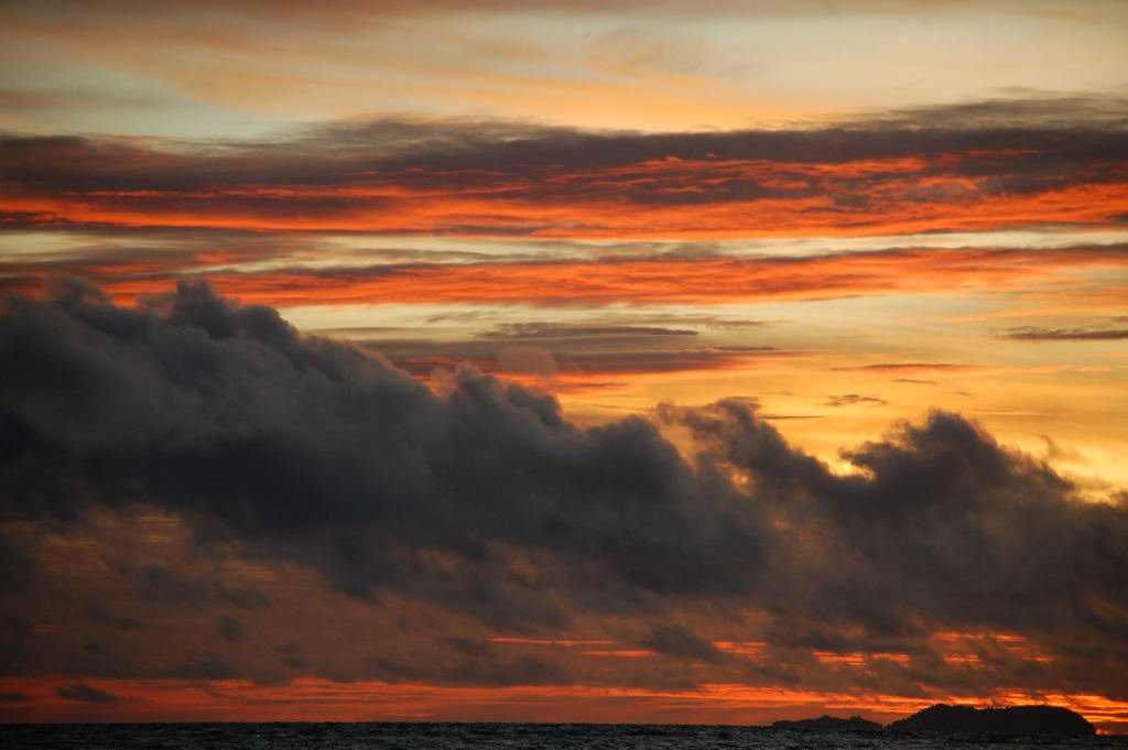 麦凯珊瑚礁度假村主图