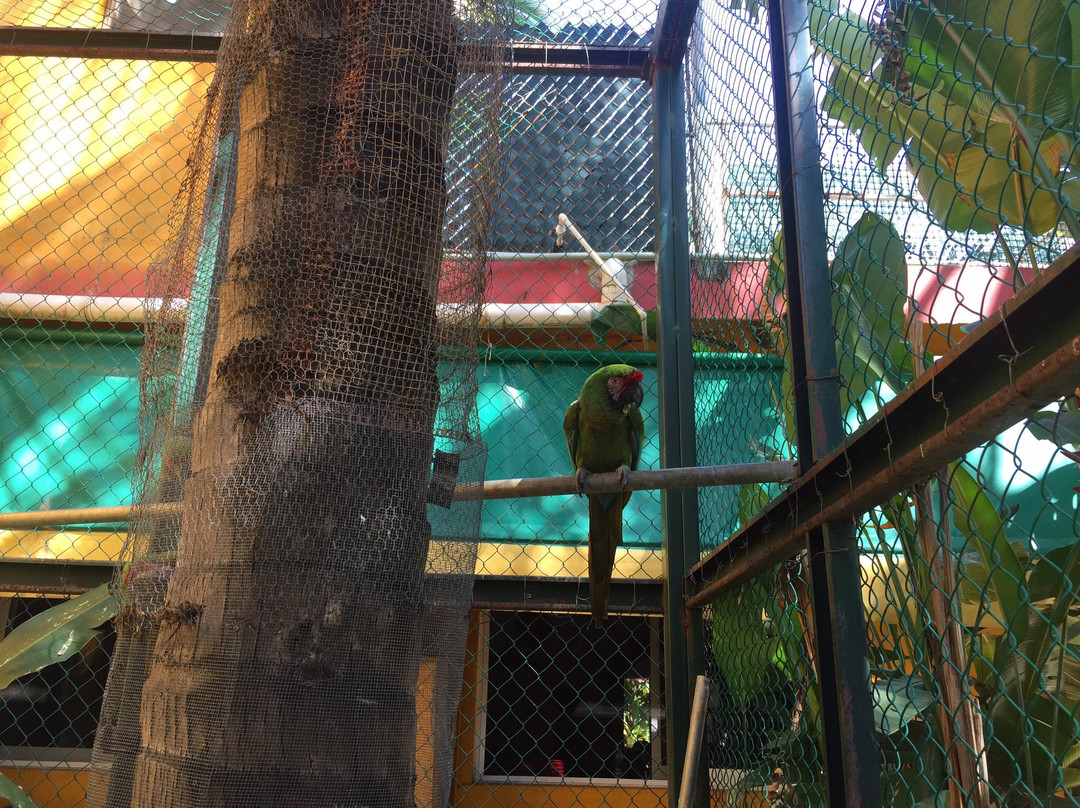 Aticama Bed & Breakfast主图