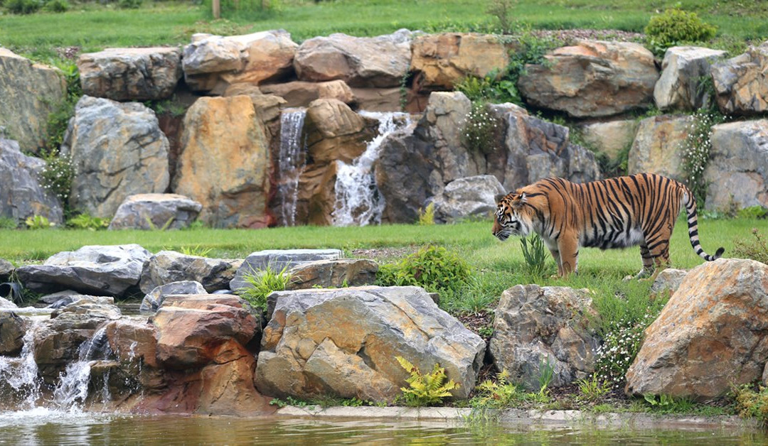 Zoo de Champrepus景点图片