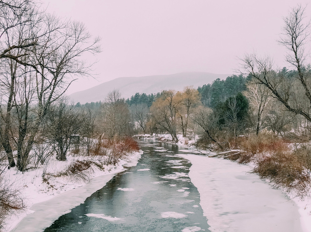 The Ira Allen House Bed and Breakfast主图