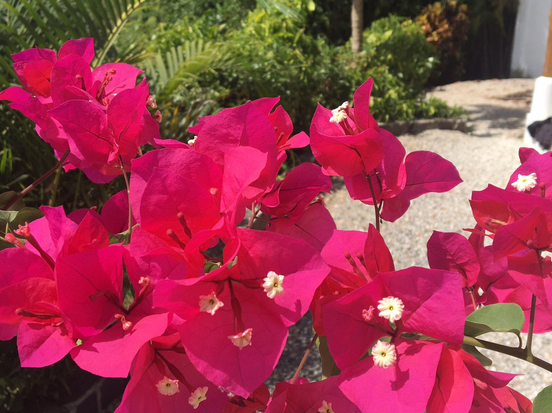 Bella Vista Mar主图