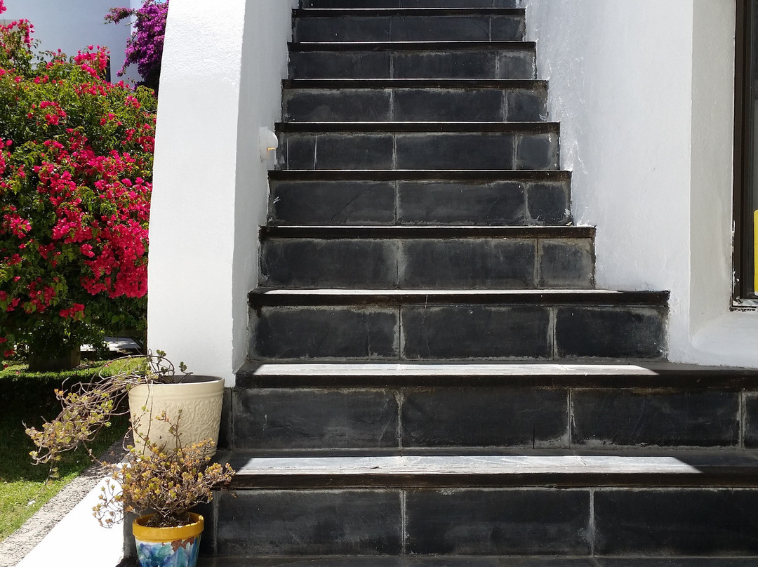 Posada de los Pajaros主图