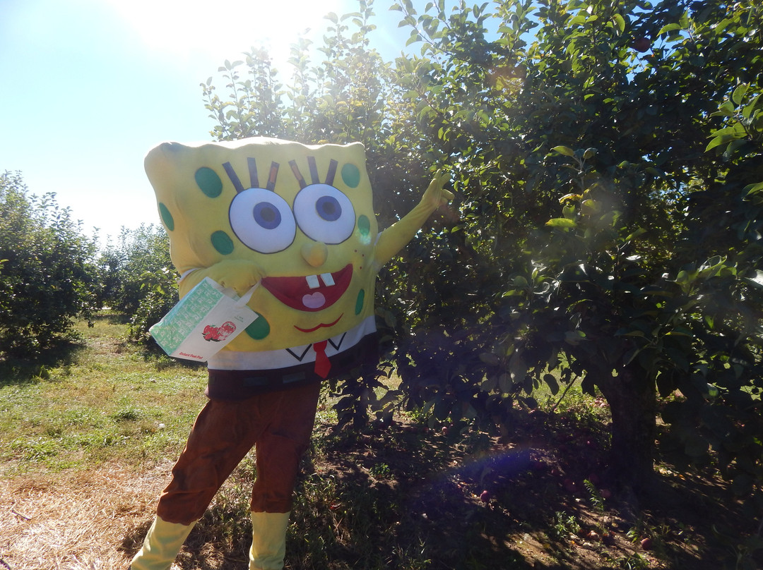 Stowe Farm-Millbury必去景点