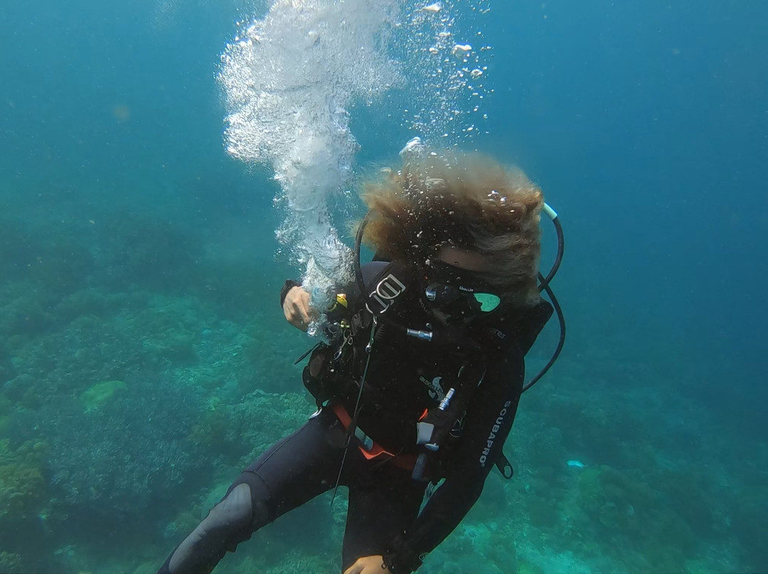 Blue Marlin Dive Komodo景点图片