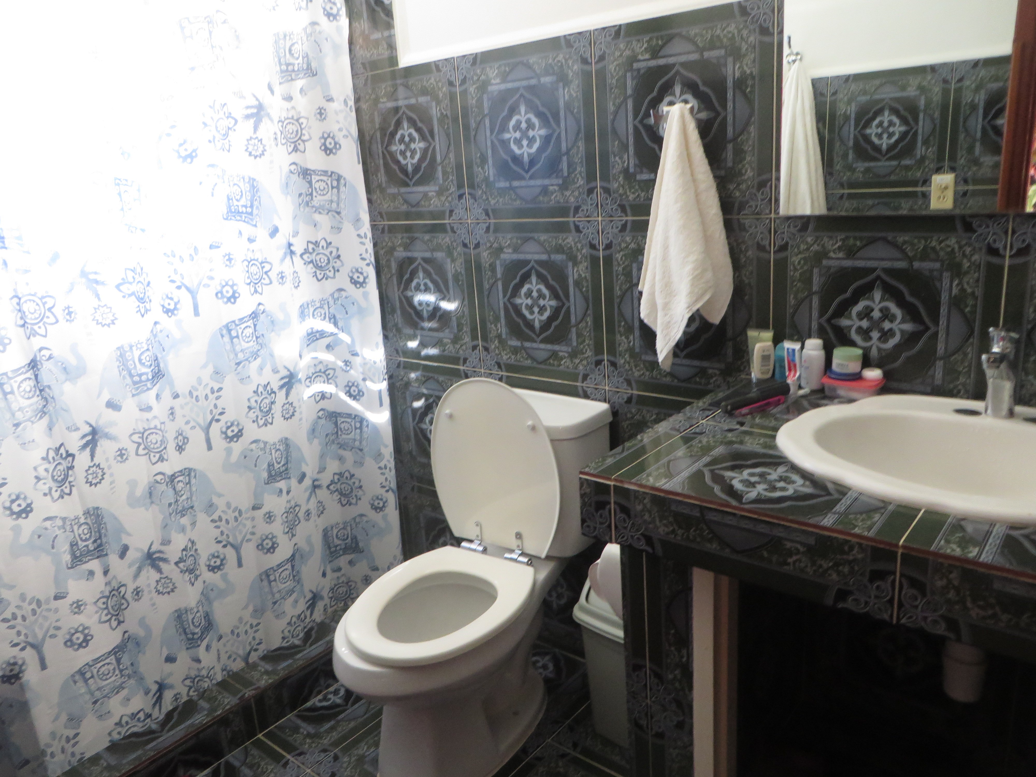 Hostal Luis-浴室