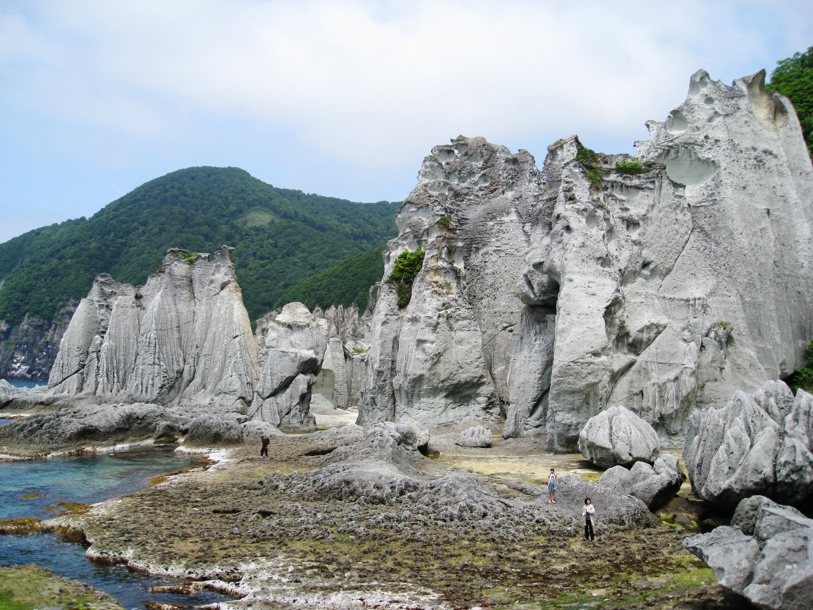 宿屋茶花酒店-官方
