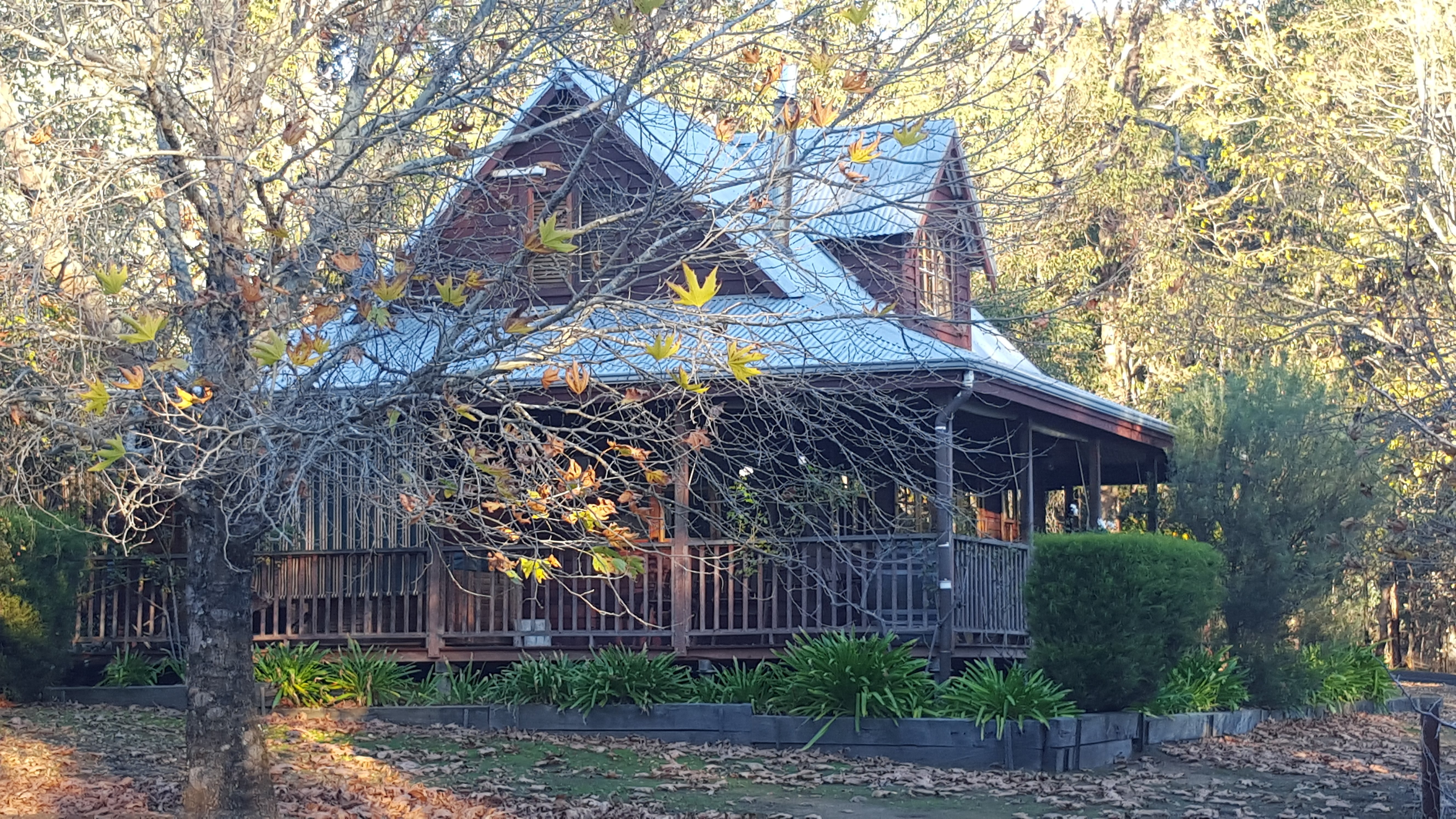 RedGum Hill Country Retreat-官方