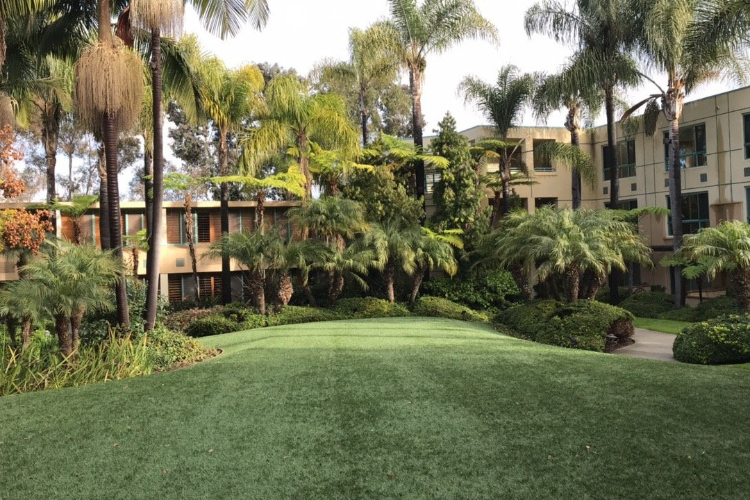 拉霍亚喜来登酒店主图