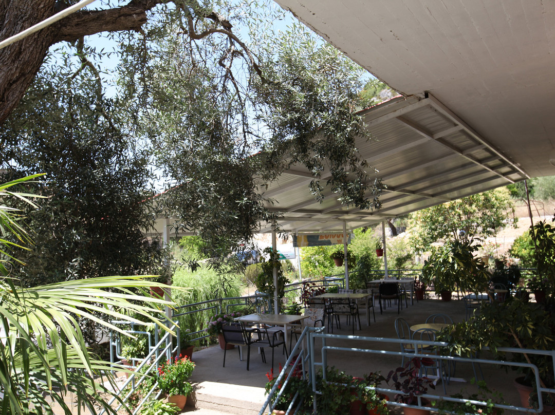 Piqeras餐馆和美食-Restorant Moliana