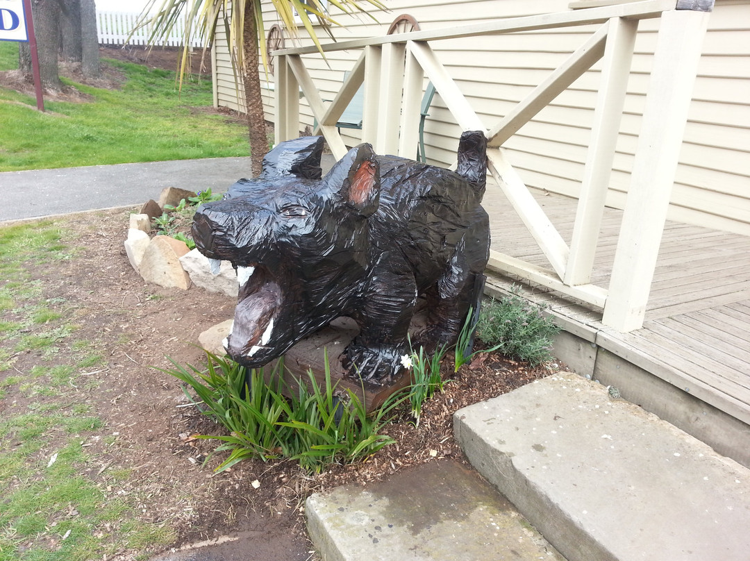 Classwood-罗斯必去景点