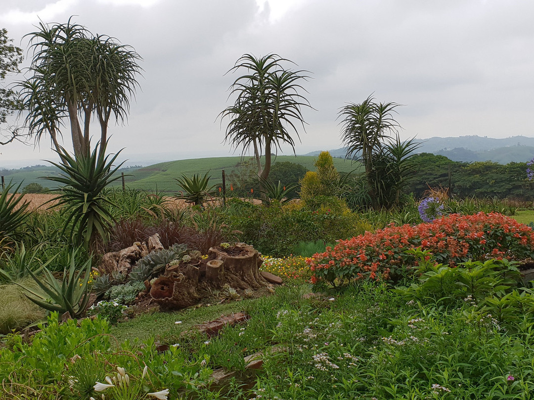 Chase Guest House主图