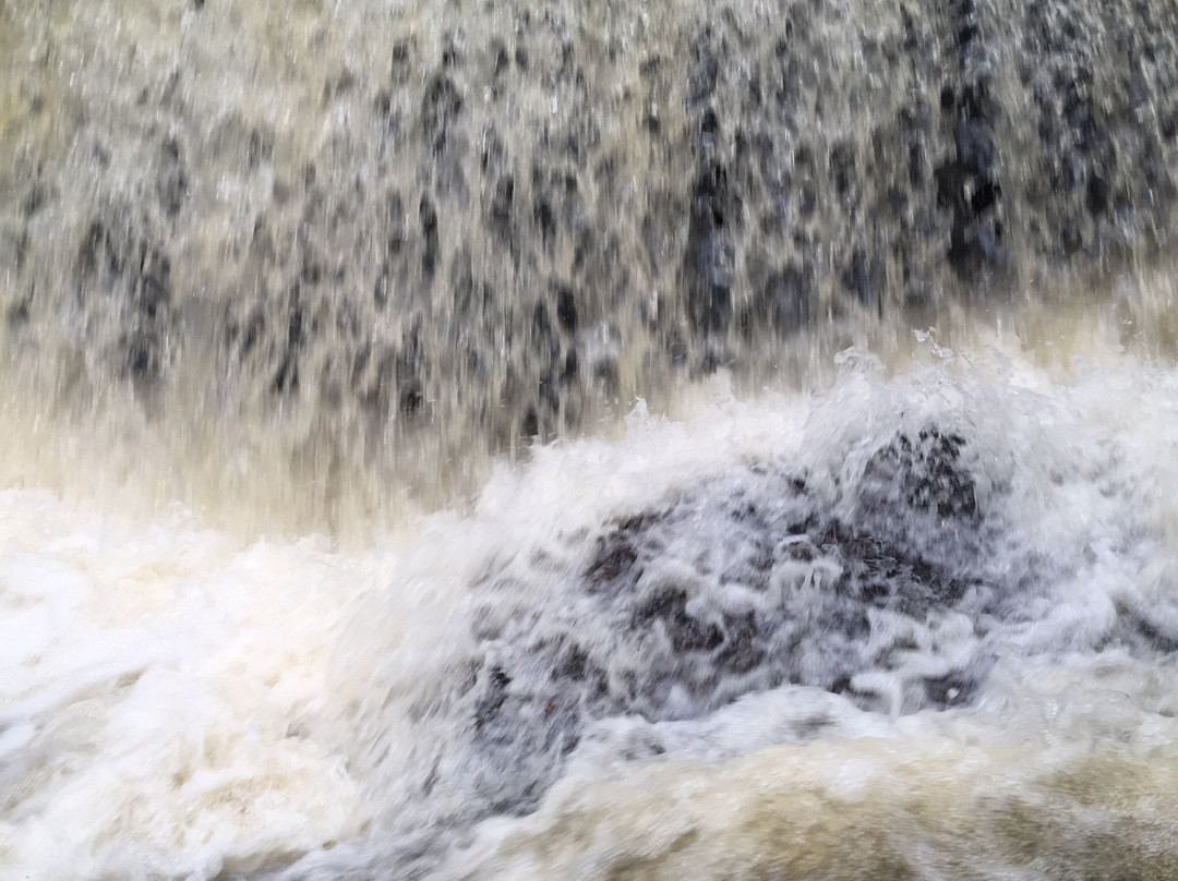 Balneario Cachoeirinha-Porto Velho必去景点