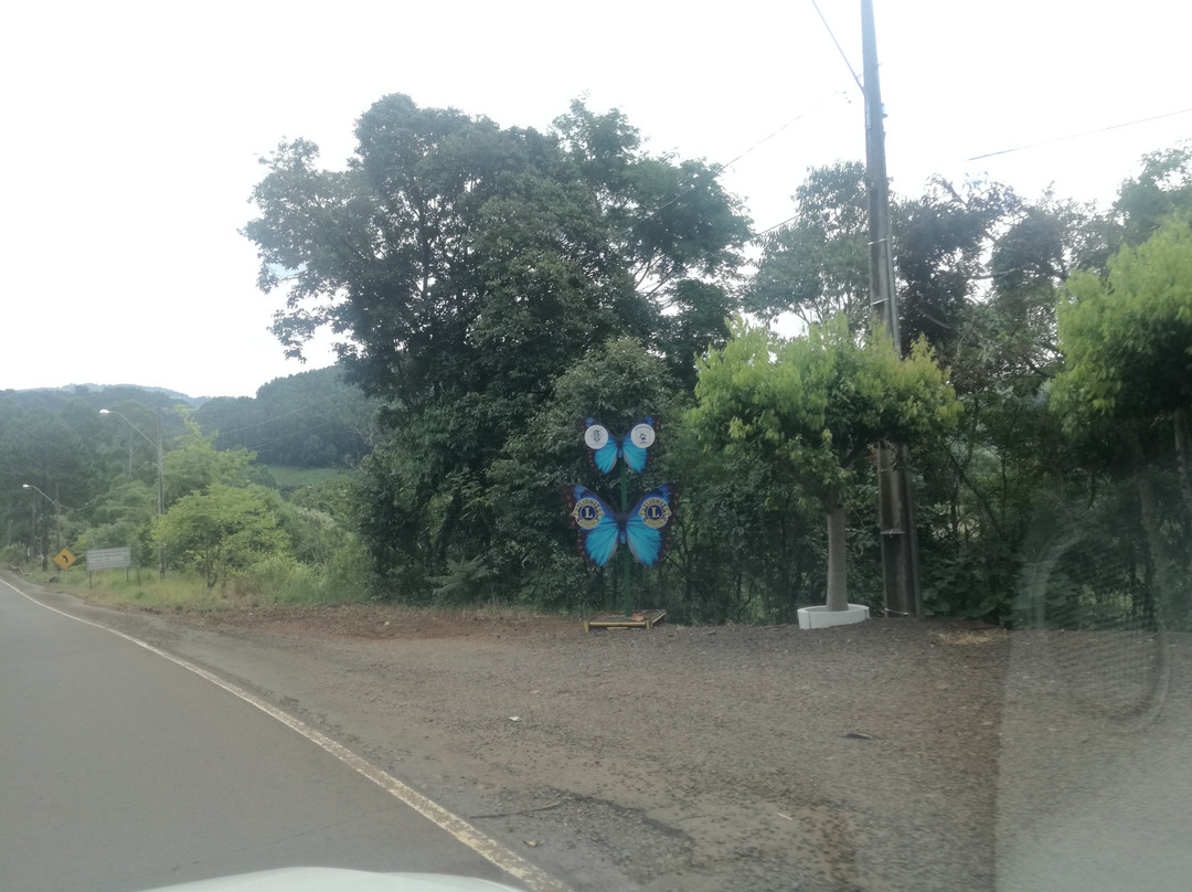 Museu Entomológico Fritz Plaumann-Seara必去景点