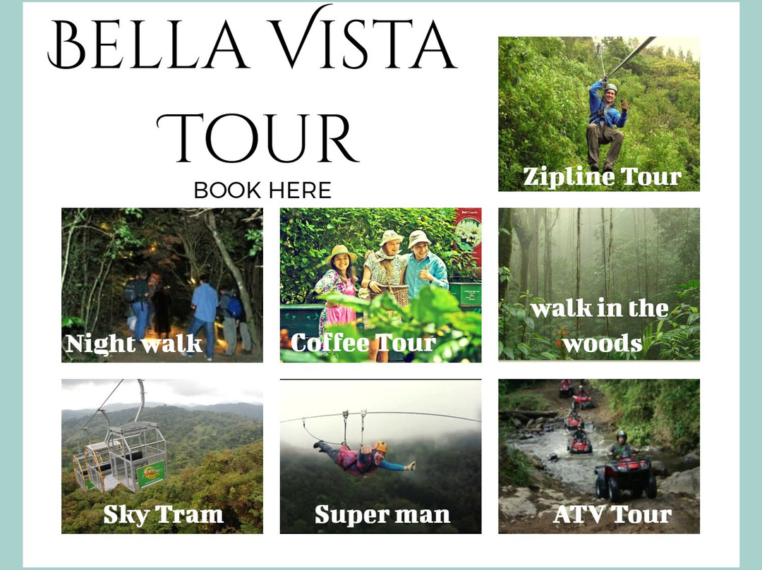 Bella Vista Lodge主图