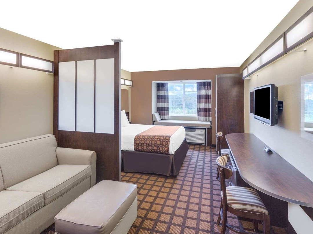 Microtel Inn & Suites by Wyndham Ozark主图