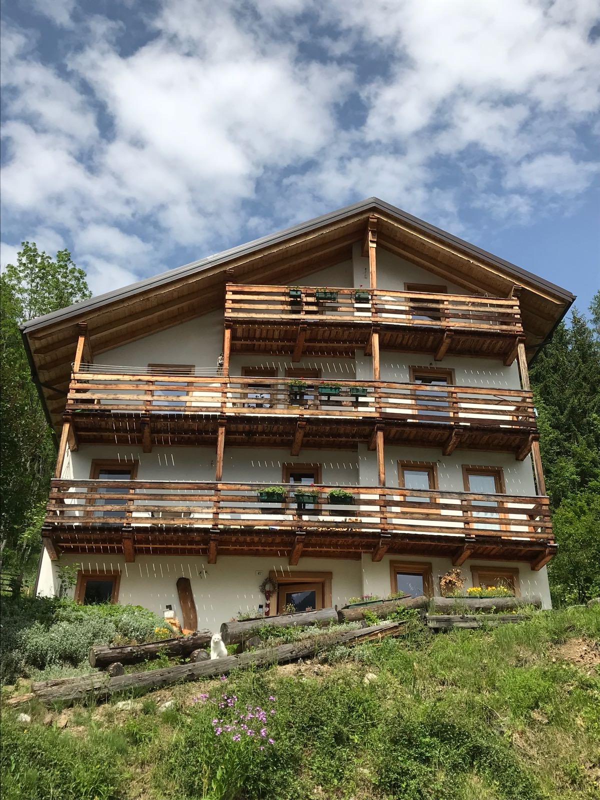 B&B Come Api al Miele-官方