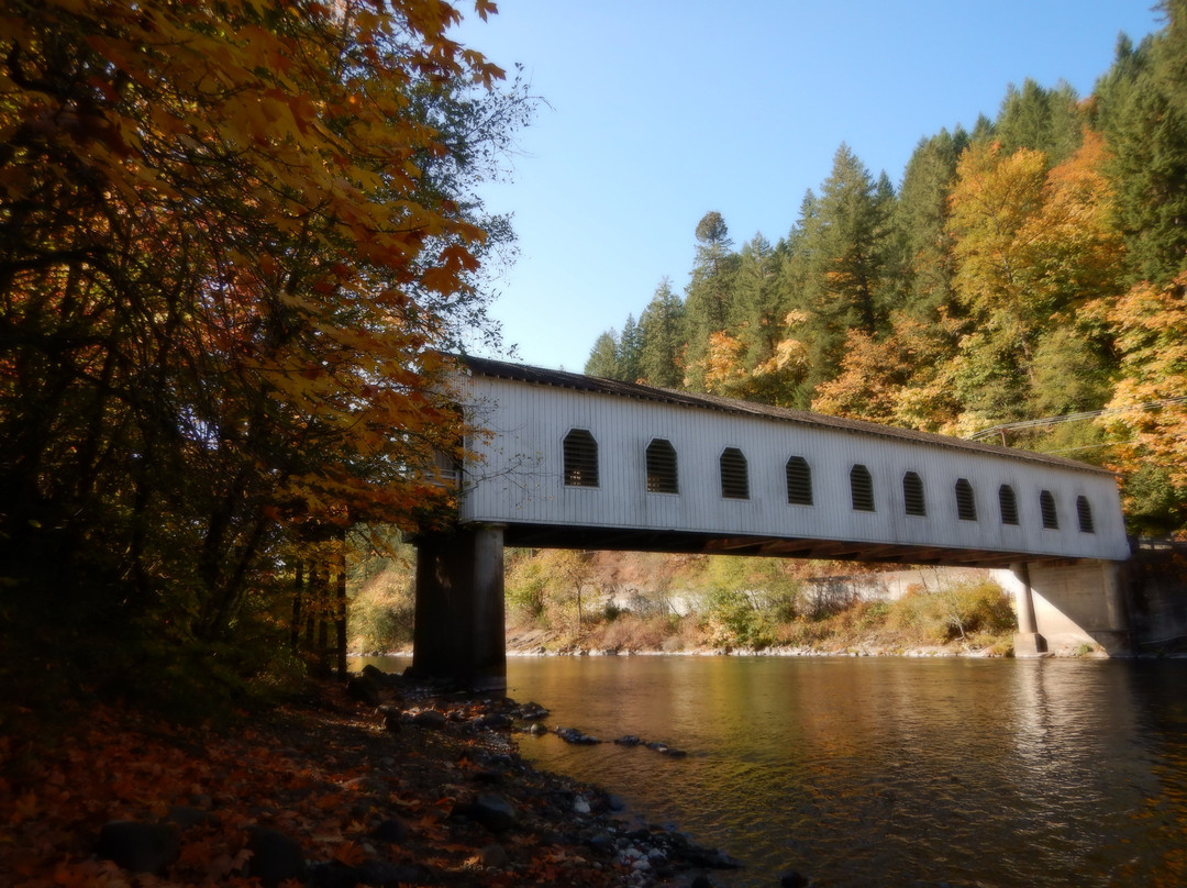 McKenzie River Inn主图