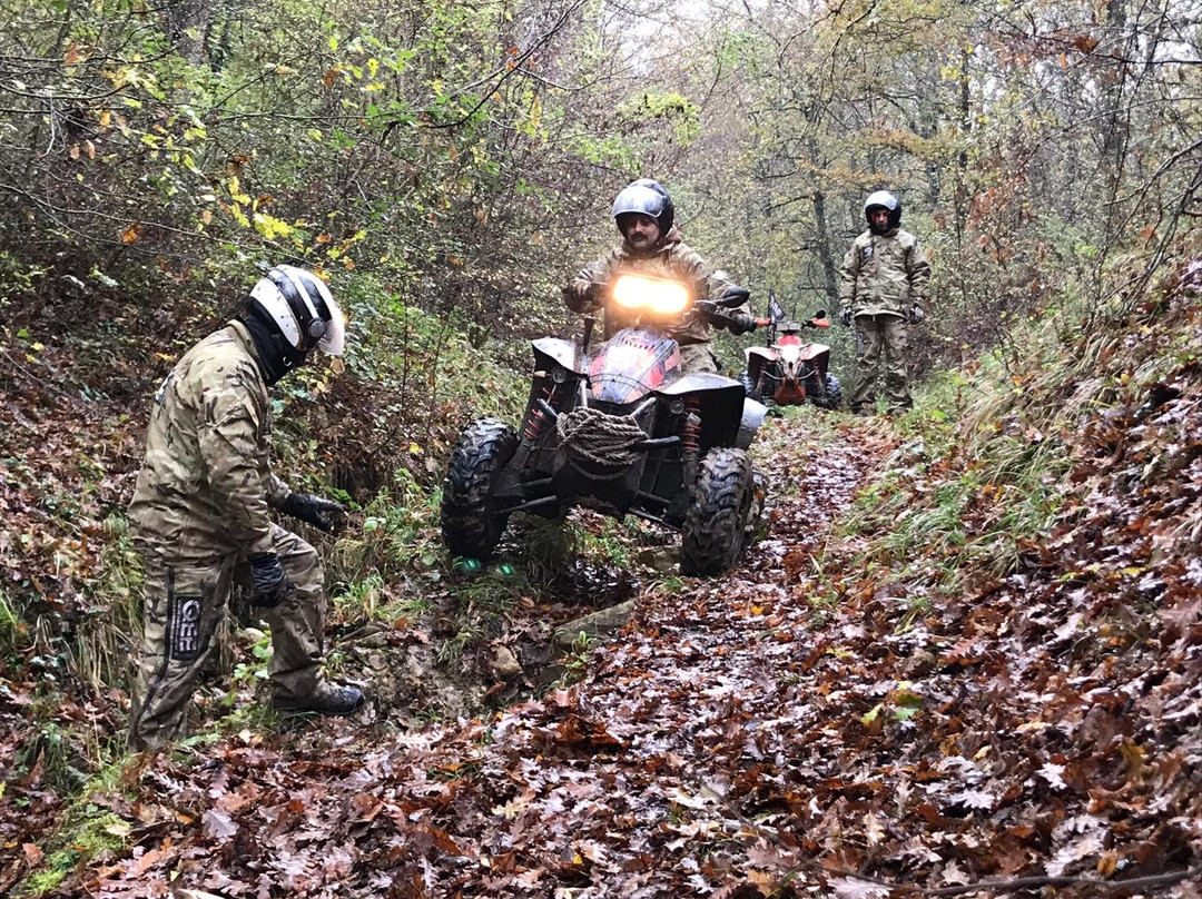 Quad Experience and Emotion-阿尔贝罗贝洛必去景点