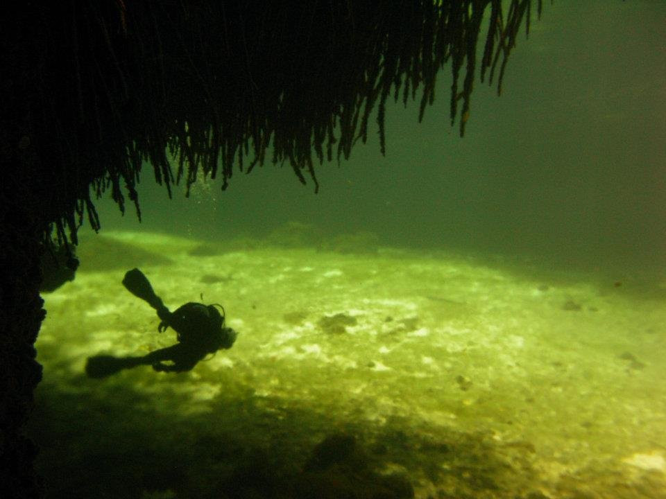 Tulum ProDivers景点图片