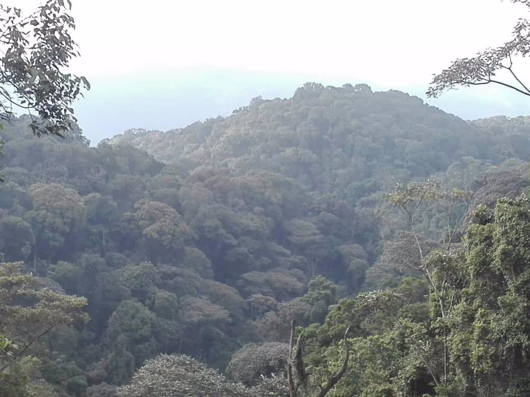 Augustine Tours Ltd-布松布拉必去景点