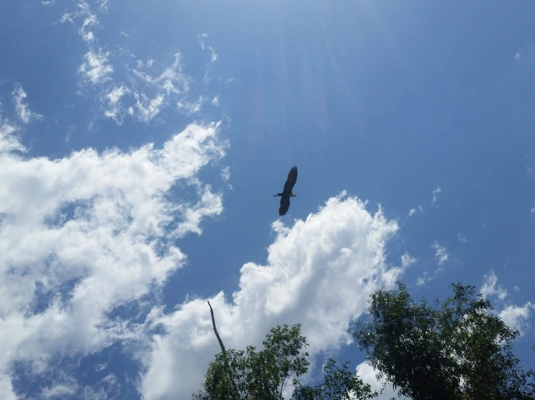 Tjuwaliyn (Douglas) Hot Springs Park-Douglas-Daly必去景点