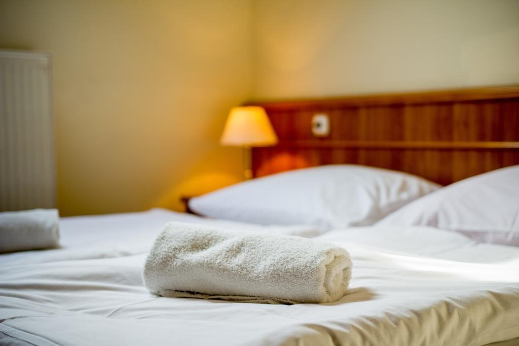 Hotel Corvinus主图