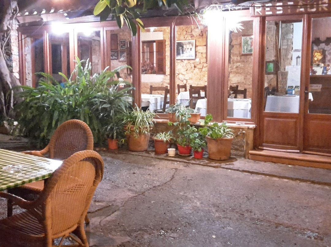 Jumaica Tropical Park-克里斯托港必去景点