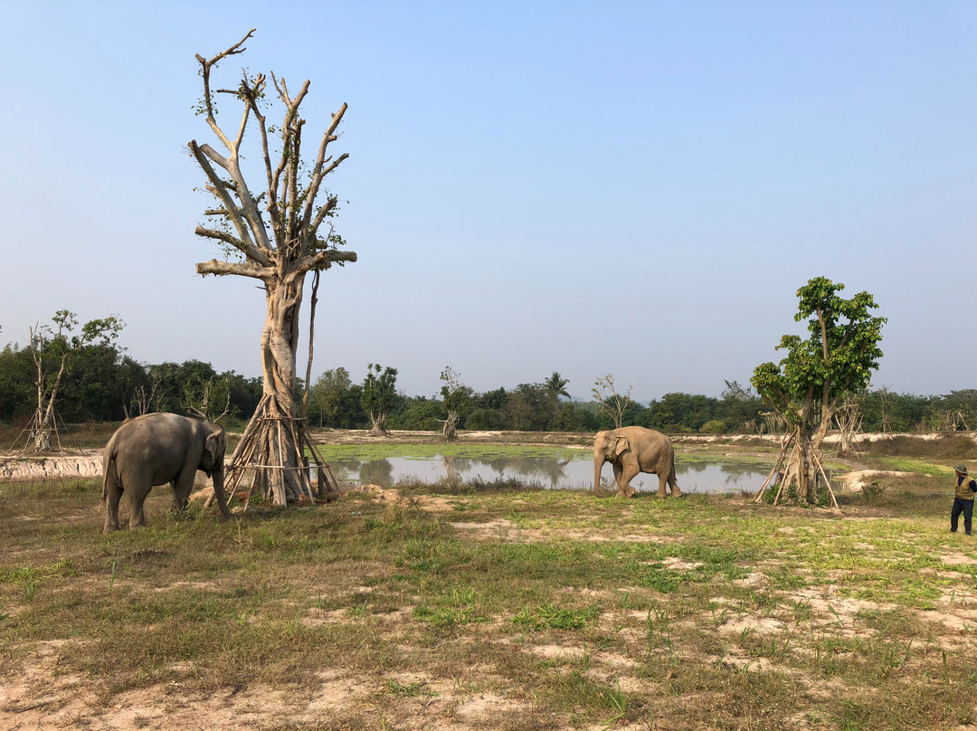 Wildlife Friends Foundation Thailand景点图片