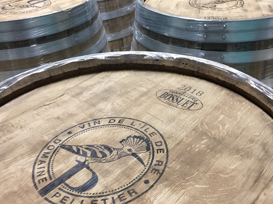 Domaine Pelletier景点图片
