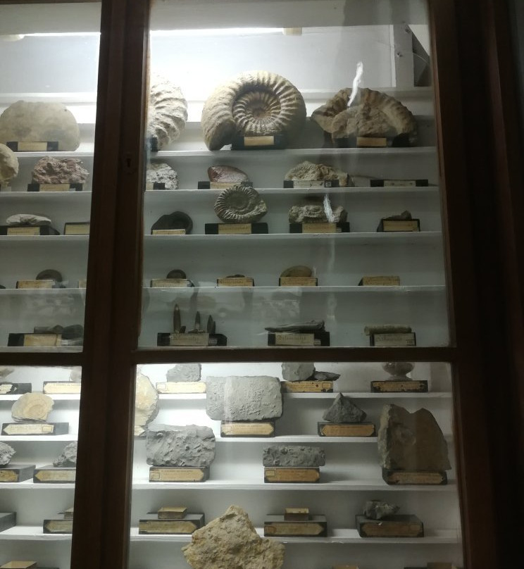 Museo di Storia Naturale dell'Accademia dei Fisiocritici-锡耶纳必去景点