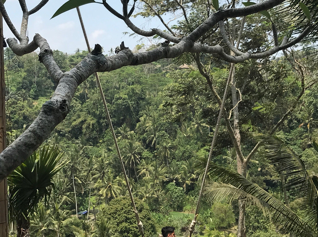 My Swing Bali景点图片