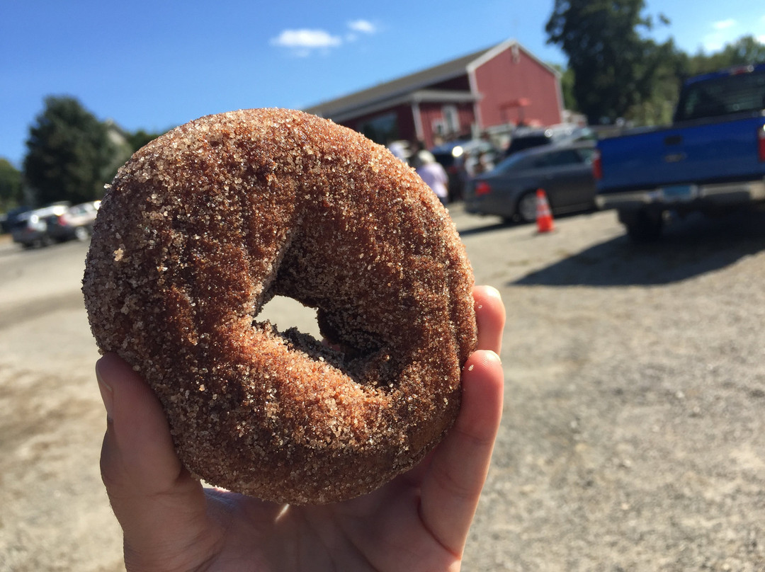 Beardsley's Cider Mill & Orchard-谢尔顿必去景点