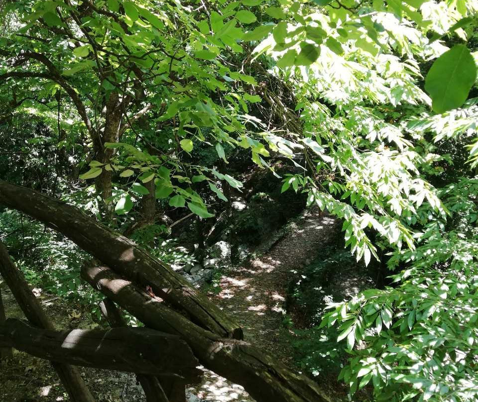 Old Arched Bridge-Tsagkarada必去景点